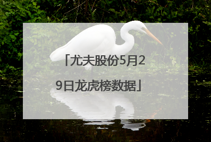 尤夫股份5月29日龙虎榜数据