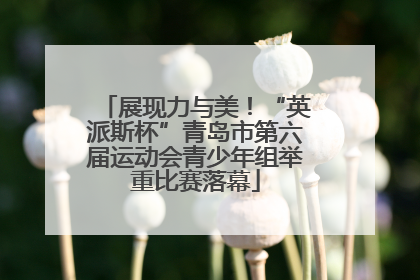 展现力与美！“英派斯杯”青岛市第六届运动会青少年组举重比赛落幕