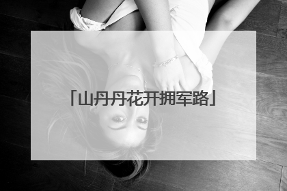 山丹丹花开拥军路