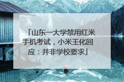 山东一大学禁用红米手机考试，小米王化回应：并非学校要求