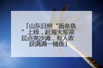 山东日照“面条鱼”上线，赶海大军凌晨点亮沙滩，有人收获满满一桶鱼