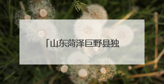 山东菏泽巨野县独山镇第一书记搭桥：山钢集团采购帮扶村西瓜助农增收