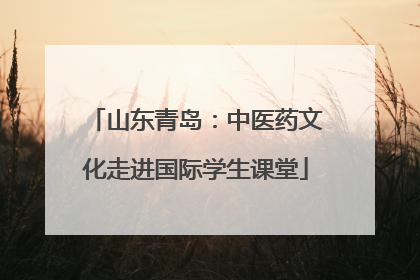 山东青岛：中医药文化走进国际学生课堂