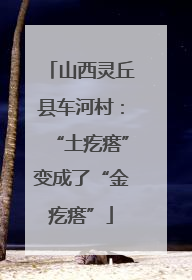 山西灵丘县车河村：“土疙瘩”变成了“金疙瘩”