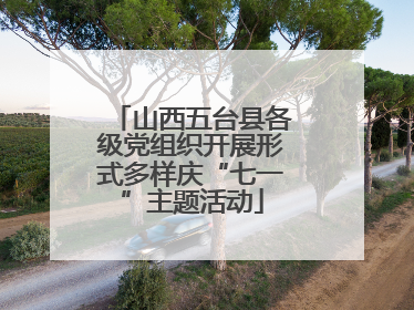 山西五台县各级党组织开展形式多样庆“七一”主题活动