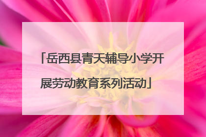 岳西县青天辅导小学开展劳动教育系列活动