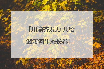 川渝齐发力 共绘濑溪河生态长卷