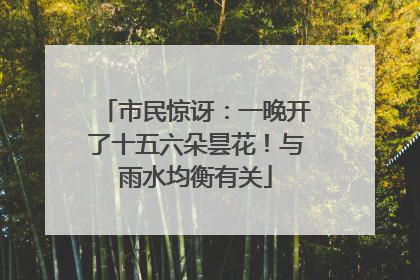 市民惊讶：一晚开了十五六朵昙花！与雨水均衡有关