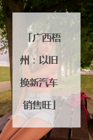 广西梧州：以旧换新汽车销售旺