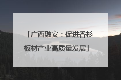 广西融安：促进香杉板材产业高质量发展