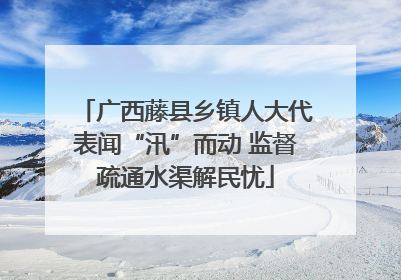 广西藤县乡镇人大代表闻“汛”而动 监督疏通水渠解民忧