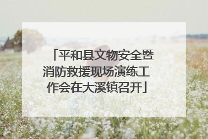 平和县文物安全暨消防救援现场演练工作会在大溪镇召开