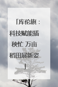 库伦旗：科技赋能插秧忙 万亩稻田展新姿