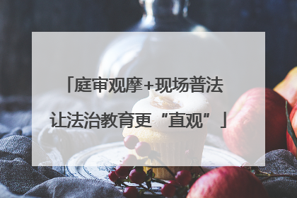 庭审观摩+现场普法 让法治教育更“直观”