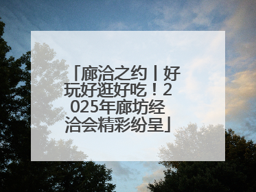 廊洽之约丨好玩好逛好吃！2025年廊坊经洽会精彩纷呈