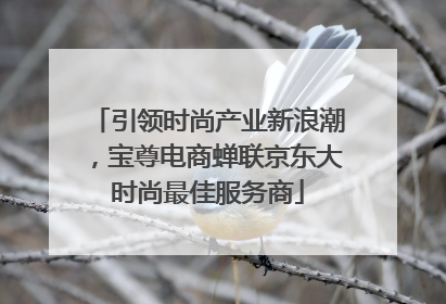 引领时尚产业新浪潮，宝尊电商蝉联京东大时尚最佳服务商