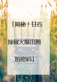 揭秘！甘谷辣椒火爆出圈的密码
