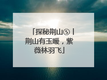 探秘荆山⑤丨荆山有玉暖，紫薇林羽飞