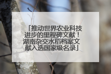 推动世界农业科技进步的里程碑文献！湖南杂交水稻档案文献入选国家级名录