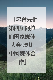 总台亮相第四届阿拉伯国家媒体大会 聚焦中阿媒体合作