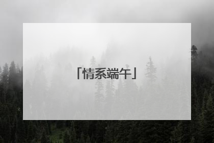 情系端午