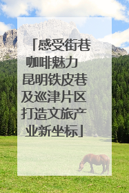 感受街巷咖啡魅力 昆明铁皮巷及巡津片区打造文旅产业新坐标