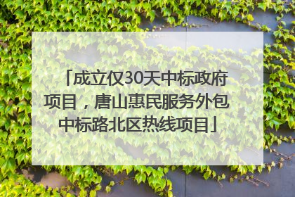 成立仅30天中标政府项目，唐山惠民服务外包中标路北区热线项目