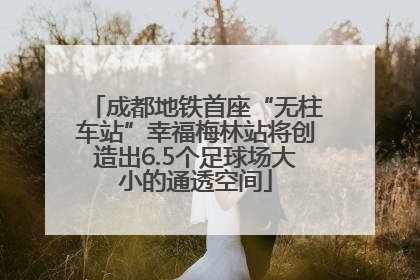 成都地铁首座“无柱车站”幸福梅林站将创造出6.5个足球场大小的通透空间
