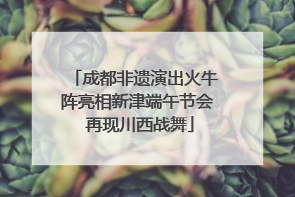 成都非遗演出火牛阵亮相新津端午节会 再现川西战舞