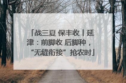 战三夏 保丰收丨延津：前脚收 后脚种，“无缝衔接”抢农时