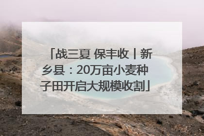 战三夏 保丰收丨新乡县：20万亩小麦种子田开启大规模收割