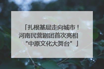 扎根基层走向城市！河南民营剧团首次亮相“中原文化大舞台”