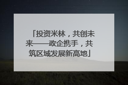 投资米林，共创未来——政企携手，共筑区域发展新高地