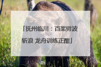 抚州临川：百桨劈波斩浪 龙舟训练正酣