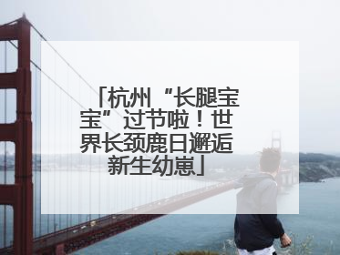杭州“长腿宝宝”过节啦！世界长颈鹿日邂逅新生幼崽