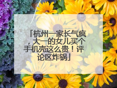 杭州一家长气疯，大一的女儿买个手机壳这么贵！评论区炸锅