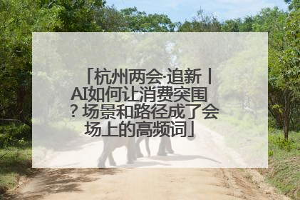 杭州两会·追新丨AI如何让消费突围？场景和路径成了会场上的高频词