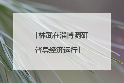林武在淄博调研督导经济运行