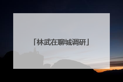 林武在聊城调研