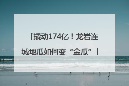撬动174亿！龙岩连城地瓜如何变“金瓜”