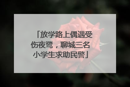 放学路上偶遇受伤夜鹭，聊城三名小学生求助民警