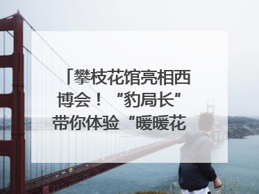 攀枝花馆亮相西博会！“豹局长”带你体验“暖暖花城”独特魅力｜西博视界