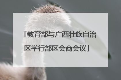 教育部与广西壮族自治区举行部区会商会议