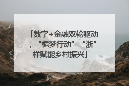 数字+金融双轮驱动，“栀梦行动”“浙”样赋能乡村振兴