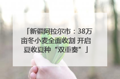 新疆阿拉尔市：38万亩冬小麦全面收割 开启夏收夏种“双重奏”