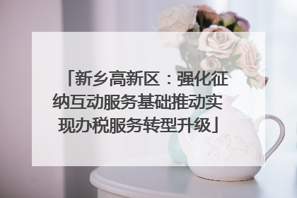 新乡高新区：强化征纳互动服务基础推动实现办税服务转型升级