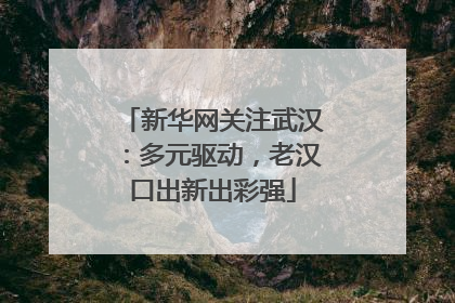 新华网关注武汉：多元驱动，老汉口出新出彩强