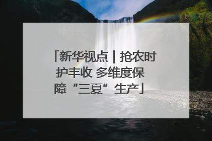 新华视点｜抢农时 护丰收 多维度保障“三夏”生产