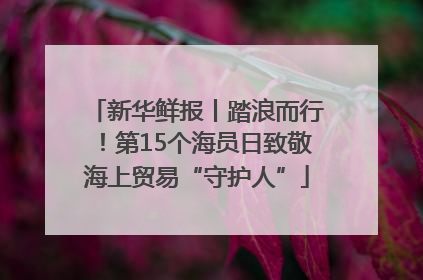 新华鲜报丨踏浪而行！第15个海员日致敬海上贸易“守护人”