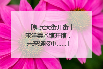 新民大街开街丨宋洋美术馆开馆，未来链接中……